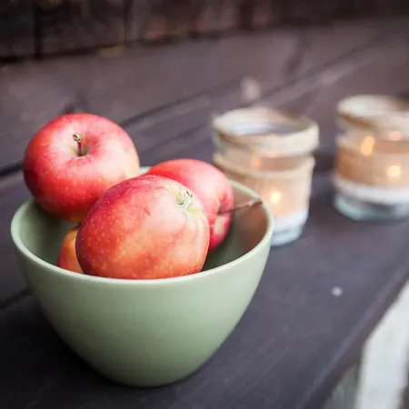 בית נופש Petruskov Dvor