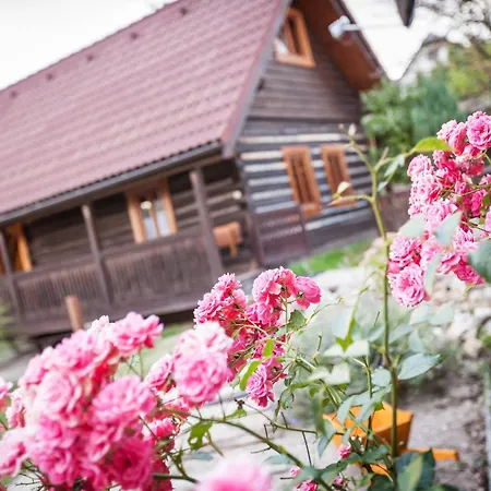 Σπίτι διακοπών Petruskov Dvor Brezno