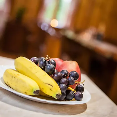 בית נופש Petruskov Dvor *